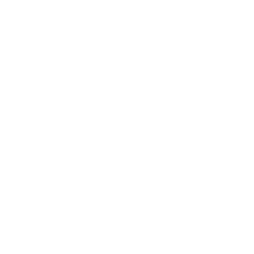logo-dx-solutions-white.png